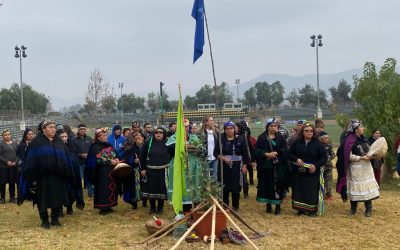 Colina vivió una exitosa muestra cultural mapuche